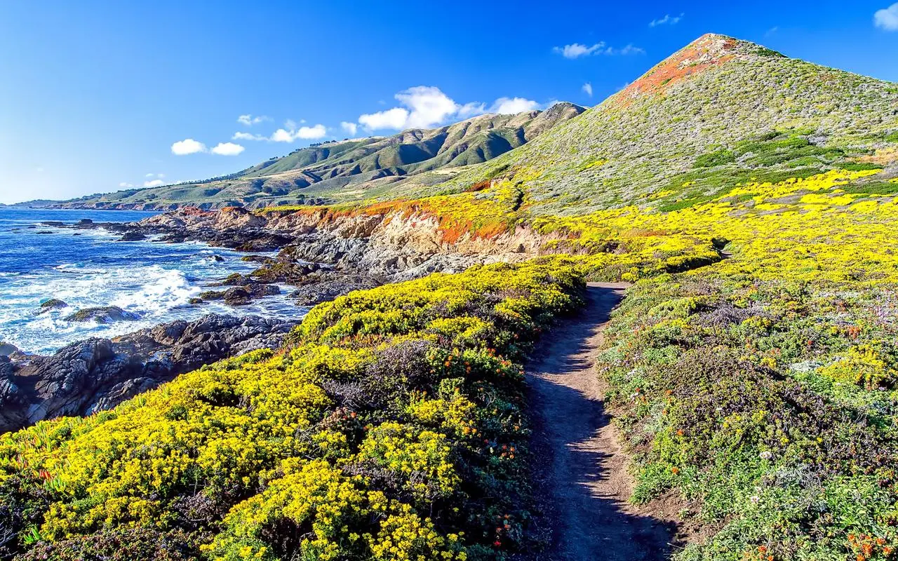 智慧网络化可靠性